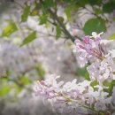 문화서로 이미지