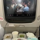 비엔나유치원 | 비엔나랑 아직 어색한 나