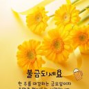 11월 21일 금요일 미래 정 대문을 활짝 열어봅니다 이미지