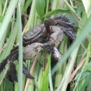 파주착한펜션 이미지