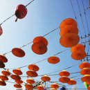 이태원 퀴논길 이미지