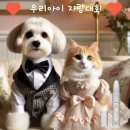 세이츄