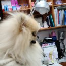 중곡동물병원 이미지