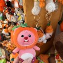 청파 반건조수산 2호점 | 제주도 2박3일 레스고 / 맛집 추천 들어갑니다.