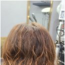 코코헤어 이미지