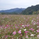 국민체육센터 앞 횡단보도 이미지
