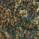 대명1동 주민센터 이미지