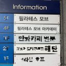 짝커피호프 | [필라테스 강사워크샵]산전산후 교육 솔직후기 필라테스모브 종로점