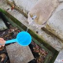 내원사약수터 이미지