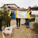 한돈농장 이미지