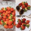 원더아리아청주점 | 애슐리 딸기축제 2026 기간 + 애슐리퀸즈 원더아리아 청주점 주말 디너 웨이팅 내돈내산 후기