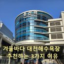 대천콘도 노래연습장 | 겨울바다 대천해수욕장 추천하는 3가지 이유 | 대천여행 서해바다 낮풍경 스카이바이크 노을 버스킹.