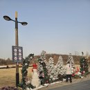 성모마디튼튼재활의학과의원 | 푸른수목원에도 봄은 오고있는가?