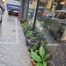 까까머리방 이미지