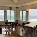 바다새 | 동해 묵호 바다새 카페, 한섬해수욕장 한적한 오션뷰!
