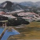 선소체육공원 이미지