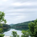 레드브릿지 이미지