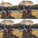 대한카 | 광주 풍암지구 애견카페 (신상카페 후기)