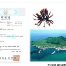 오혜숙 생활단식(세종 깨끗해짐 지사)
