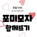 앤포미