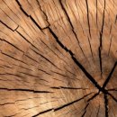 한국폴리텍 VI 대학 영주캠퍼스 이미지