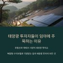 박육식태양광발전소 | 태양광 투자자들이 임야에 주목하는 이유