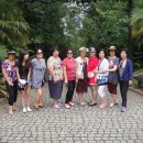 캄보식당 이미지