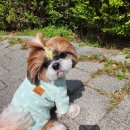 서리풀공원1-22 이미지