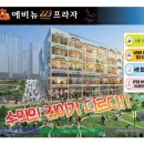 동탄프라자앞(공원) 이미지