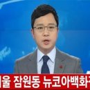 뉴코아 이미지