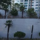 동성큰사랑어린이집 이미지