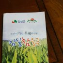 임실참울금 진성농장에서 첨으로 울금 먹어봤었쥬