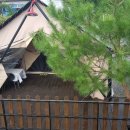 영월오아시스 글램핑 | 영월 글램핑 행복한 가족여행을 오아시스글램핑에서!!