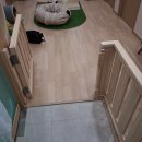 캣 팰리스 이미지