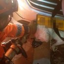 펫택시119 이미지