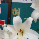 백합세탁소 이미지