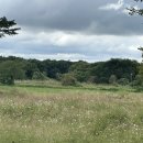 황룡어린이공원 | 🤎광주 코스모스 볼 수 있는황룡친수공원 다녀옴