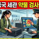 새상아약국 | 중국 세관 신고 기준과 반입 금지 품목 2026년 최신 규정