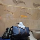 스파피닉스 이미지