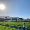 거창서핑파크 이미지