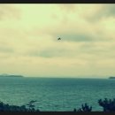 해마원오토캠핑장 이미지