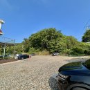 강아지소풍 이미지