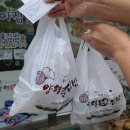 양평채김밥
