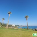 중문골프장CC 이미지