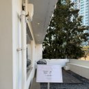 오늘부터 사진작가 | 글렌하우스 추천 후기 스튜디오 촬영 (w.이동석작가님)