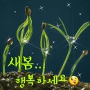 황금장 여관 이미지