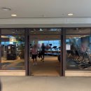 라운지서울 | 더플라자 호텔 서울 클럽라운지 혜택 후기 수영장 조식 호캉스