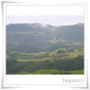 삼양농장 이미지