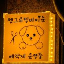 펫그루밍바이순 네이버블로그