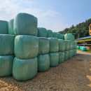 경영축산 이미지